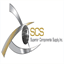 scsinconline.com