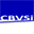 cbvsi.com