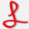 lisanotes.com