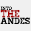 intotheandes.cl
