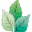 holisticspaforu.ca