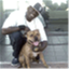 sfdoggietails.com