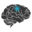 brainsentinel.com