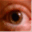 naffiss.com