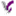 dservant.org