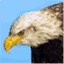 philknight1.com