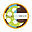 apolloenergytech.com