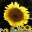 olhandomundo.wordpress.com