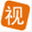 vizinsight.com