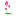 cosmicpages.com.au
