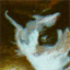 thecreativecat.net