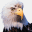 blog.eagleamerica.com