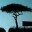 fbaezblog.wordpress.com