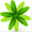 planta.co.uk