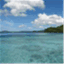 wehisland.wordpress.com
