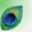 monaree.com