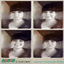beate-blog.over-blog.com
