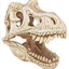 dinostarrfunk.com