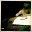 lefthandedscissors.wordpress.com