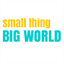 smallthingbigworld.com