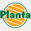 planta.net.pl