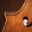 humboldtparkcelloproject.wordpress.com