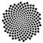 seed2soul.com.au