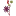 oleodericino.com