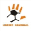liberechandball.cz