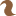 squirrelweb.org