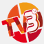 teleparticipative.org