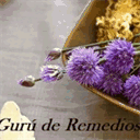 guruderemedios.com