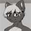agius.furry.cc