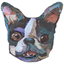 artpooch.com