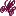 magiccurves.com