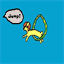 agilidogs.com