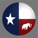 texasgopvote.com