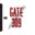 gate309.com