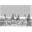 celestesailingteam.com