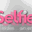 selfiescorts.cl