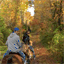 headstart.at