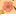 foundationalaromatherapy.com
