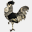 coqnballs.com