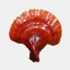 ganoderma.com.pe