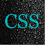 css-versiegelung.de