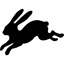 diginn.com
