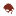 redpandatrust.org