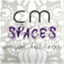 cmspaces.wordpress.com