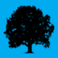thomashwood.com