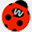 womity.com